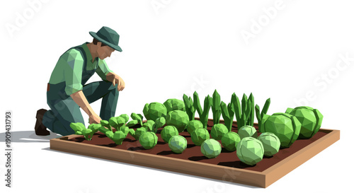 Low poly vector illustration of a man tending to a raised garden bed full of vegetables. Suitable for websites, educational materials and sustainable living concepts.