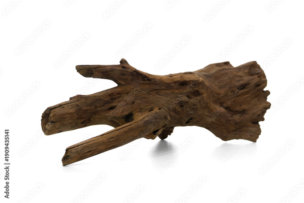 Fototapeta premium Natural Driftwood Branch Isolated on White Background