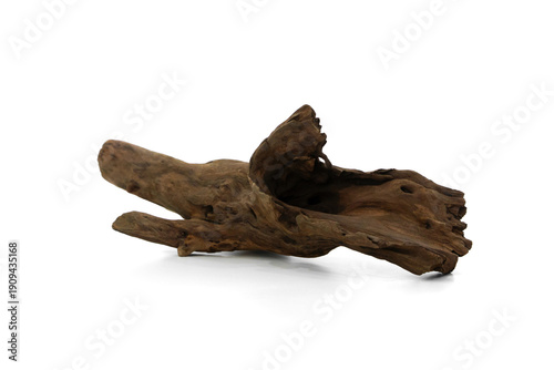Natural Driftwood Branch Isolated on White Background