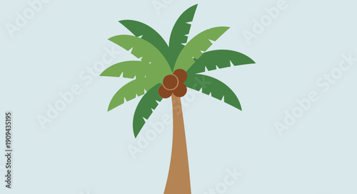 Palm Tree with Green Leaves and Coconuts 1.