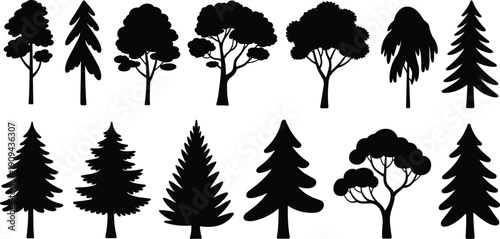 Tree silhouettes collection, pine fir oak forest trees set, black vector icons isolated, nature woodland illustration design elements