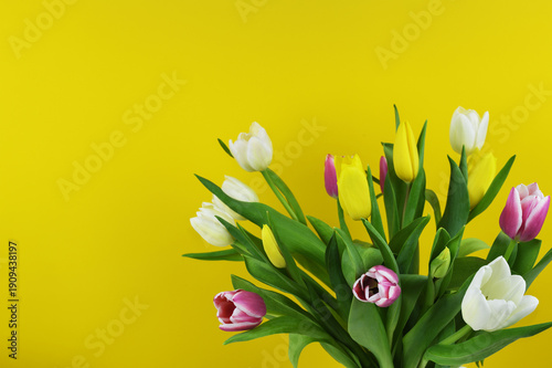Bouquet of tulip flowers on...