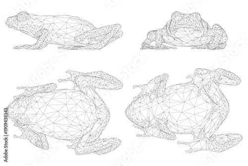 Polygonal wireframe frogs in a set of four, arranged symmetrically on a clean white background.