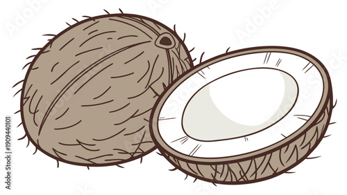 A vector graphic illustration of a whole coconut and a halved coconut showing its white interior