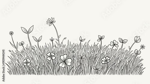 hand drawn grass and flowers illustration, nature background