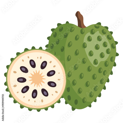 Soursop fruit illustration highlighting tropical food produce suitable for nutrition education packaging botanical visuals and healthy lifestyle themed artwork