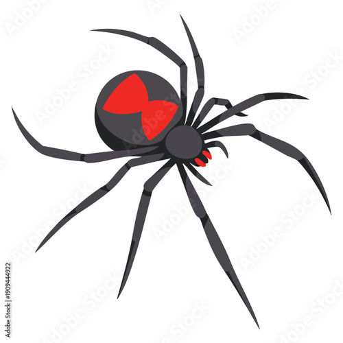 Spider icon isometric illustration of spider vector icon for web design isolated on white background suitable for nature insect wildlife education and UI graphics