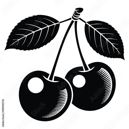 Summer cherry berry silhouette presented as vector graphics perfect for fruit themed design packaging decoration and seasonal food illustrations