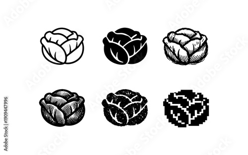 Collection of six cabbage icons in various artistic styles on a white background