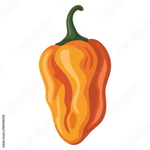 Orange habanero pepper vector isolated illustration perfect for spicy food ingredient chili cooking heat flavor and hot cuisine themed designs