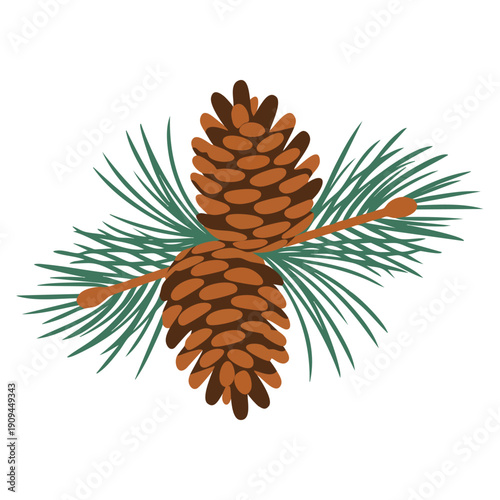 Pinecones on pine branch vector illustration representing natural forest elements seasonal decoration and botanical nature themed design