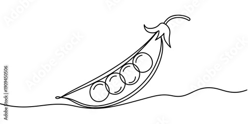 Continuous line drawing of a fresh pea pod with four round peas inside on white background.