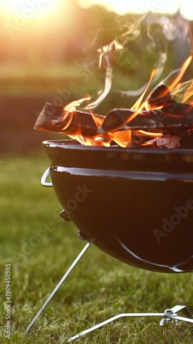 Vertical Close Up of Barbecue Fire in Spring Garden