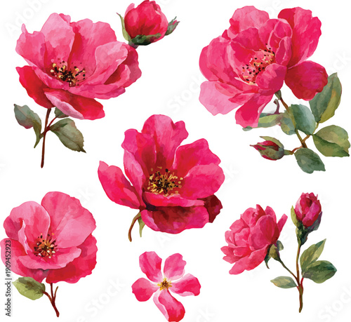 collage of red roses