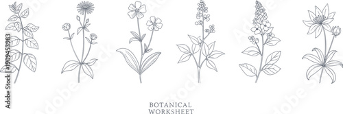 Six detailed line of various botanical plants and flowers botanical plant flower line nature flora floral