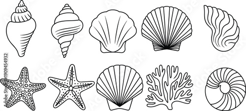 Hand drawn seashell and marine elements collection including starfish coral spiral shells and scallops outline illustration coastal nature design set
