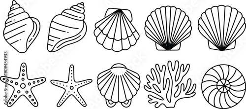 Hand drawn seashell and marine life icons including starfish coral spiral shells and scallops outline illustration coastal design set