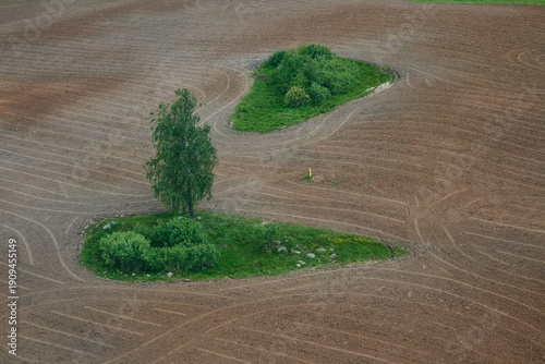Natural vegetation islands within cultivated agricultural field
