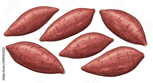 Fresh Orange Sweet Potatoes Arranged in a Group Illustration.