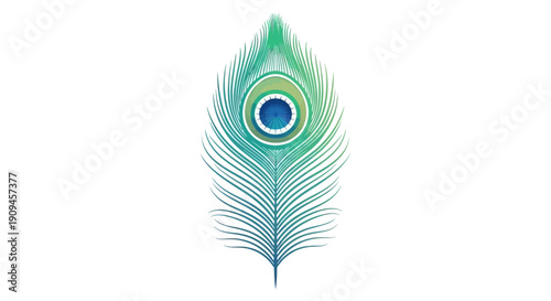 A vibrant peacock feather illustration showcasing intricate details