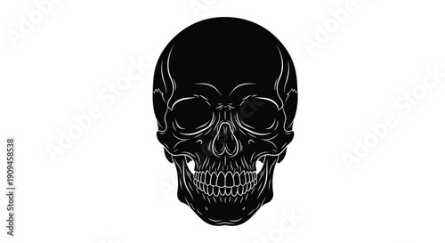 High contrast illustration of a human skull in solid black with white highlight lines against a clean minimalist white background.