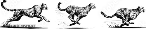 Cheetah runing line art drawing sketch vector hand drawn illustration svg