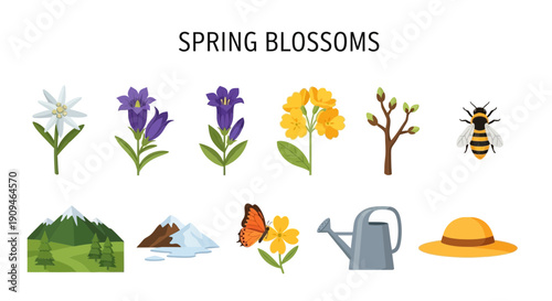 Vector illustrations of spring blossoms nature elements and gardening items