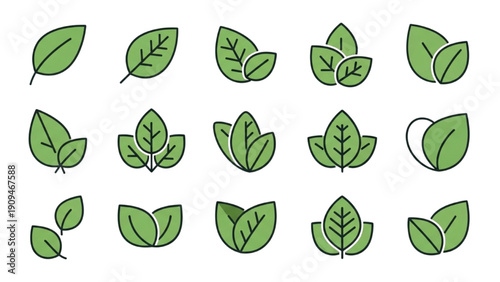 Collection of simple green leaves in various shapes and orientations on a minimalist white background