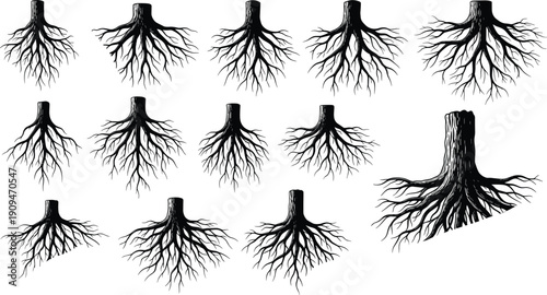 Set of tree roots silhouettes with trunk, underground root system collection, black vector illustration isolated on white background, vintage engraving sketch style.