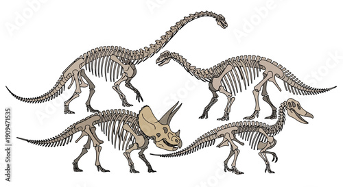 Illustration of three dinosaur skeletons walking in a row with a Triceratops skeleton in the foreground against a clean white background.