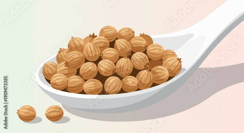 A white spoon overflowing with small, round, brown coriander seeds