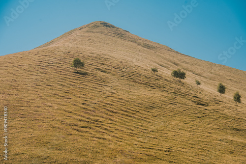 Montagna 