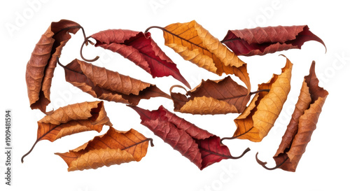 Φωτογραφία Pile of dry autumn leaves isolated PNG on transparent background, colorful fall