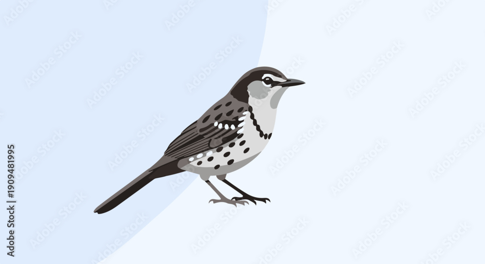 Fototapeta premium A small, speckled bird with brown and white markings stands on a light blue surface