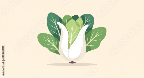 A stylized illustration of a bok choy vegetable on a pale background