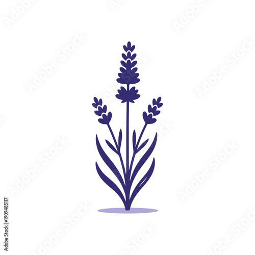 Blue forget me not flowers blooming in a vase isolated on white background