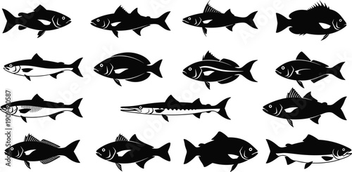 Fish silhouettes collection, marine animal species shapes, seafood icons set, underwater wildlife illustration isolated black aquatic animals on white background