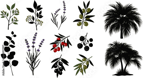 Black autumn leaves. Decorative fall elements isolated on white background. Vector illustration foliage silhouettes for greeting vintage cards and posters