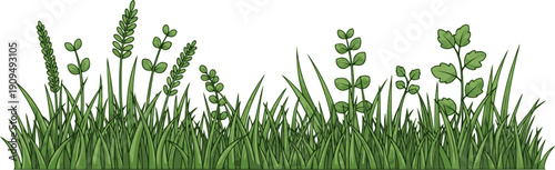 Green grass silhouette. Cartoon lines of plants and shrubs for boarding and framing, eco and organic logo element. Vector set spring field planting shapes lawn or borders garden on white background 