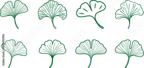 Various green ginkgo leaf line art collection, bold black outlines for kids coloring page vector format.