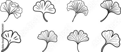 Various ginkgo leaf line art collection, bold black outlines and minimal detail for kids coloring page vector format.