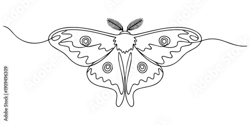 Emperor Moth continuous one line drawing, Black contour linear silhouette moth isolated on white background. Vector simple flat graphic illustration imperial night butterfly. A simple line hand drawin