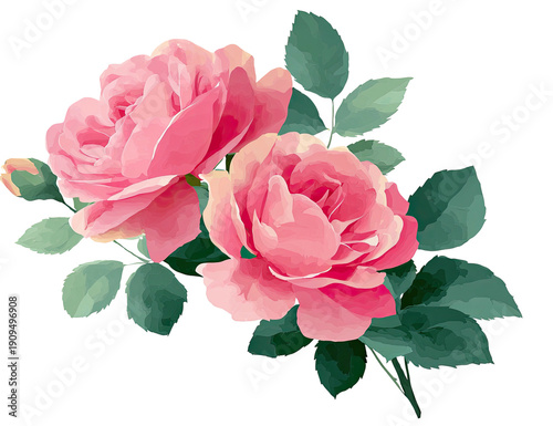 Watercolor illustration of two blooming pink roses with green leaves