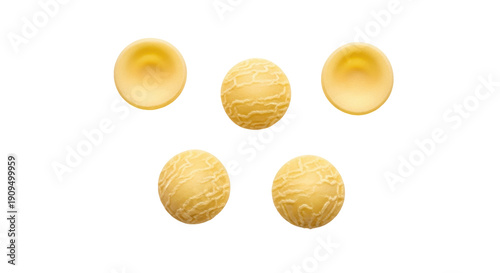 Tableau sur toile Five yellow orecchiette pasta PNG isolated on transparent background, traditiona