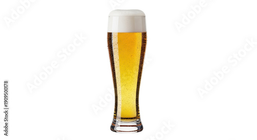 Refreshing pilsner beer in a tall glass isolated PNG, golden lager with foam on transparent background for summer refreshment