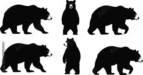 Set of bear silhouettes in different poses isolated on white background, black vector wildlife collection for logo, mascot and nature design