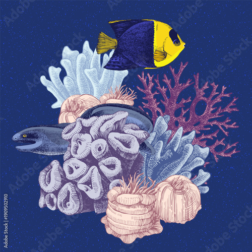 Hand drawn coral reef. Underwater life sketch