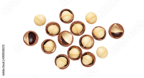 Pile of macadamia nuts isolated PNG, shelled and unshelled nuts on transparent background, healthy snack and ingredient
