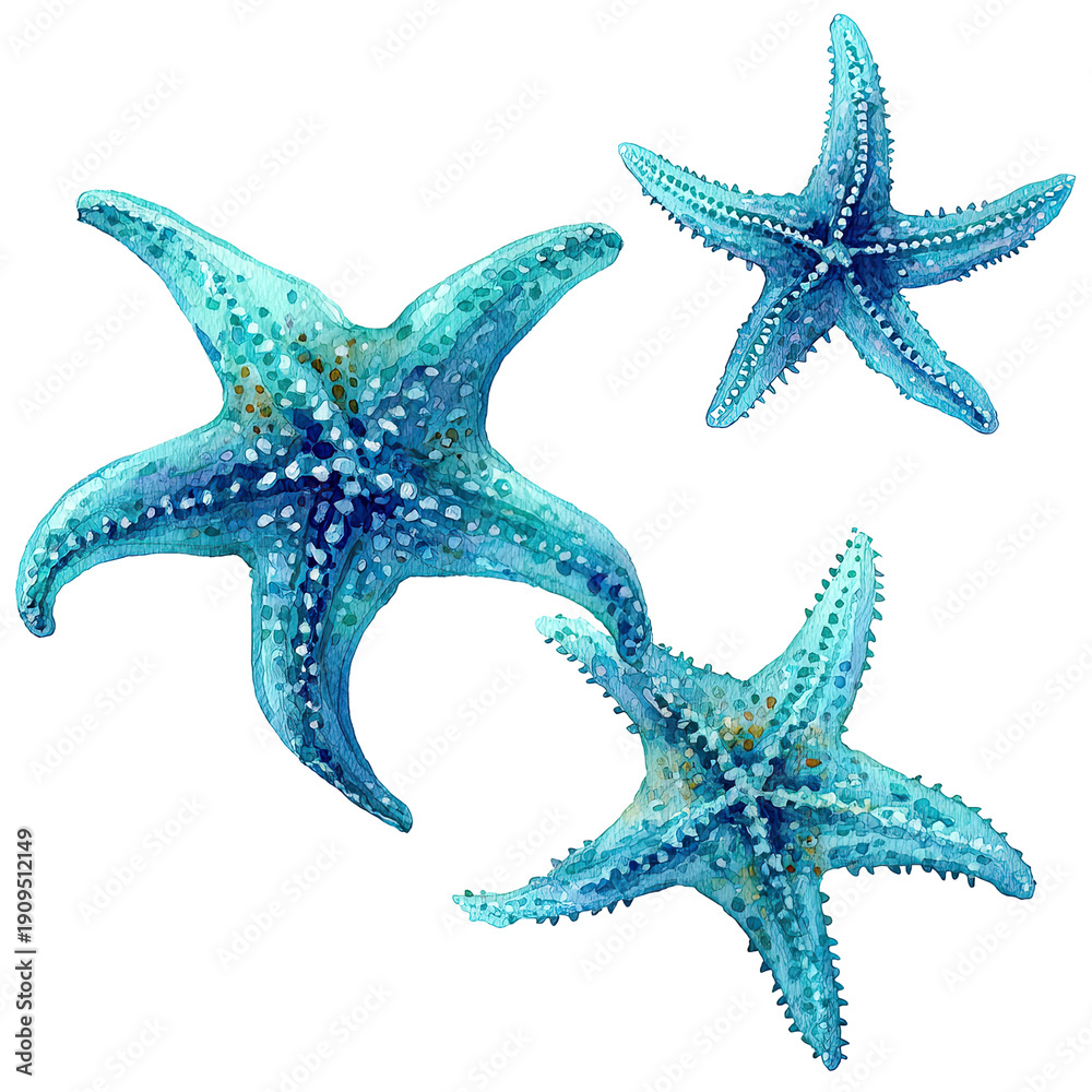 custom made wallpaper toronto digitalThree vibrant blue starfish, digitally rendered with a watercolor effect, isolated on black