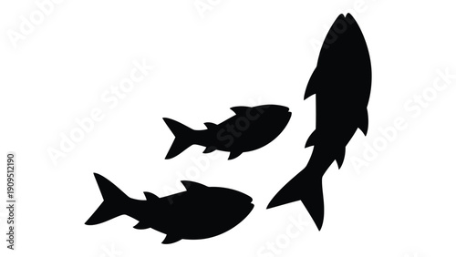 Three distinct black silhouettes of fish swimming in different directions isolated on white background, Vector